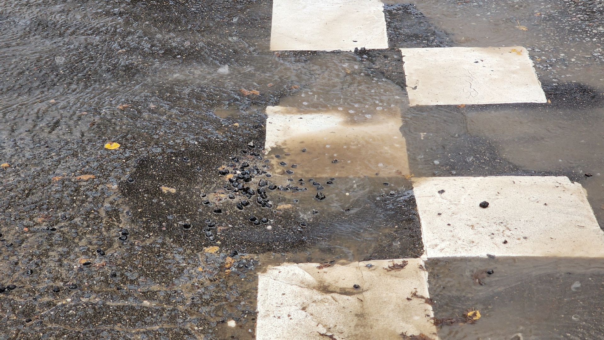 Солнечногорск, дороги, вертлинское шоссе, ямочный ремонт, добродел,