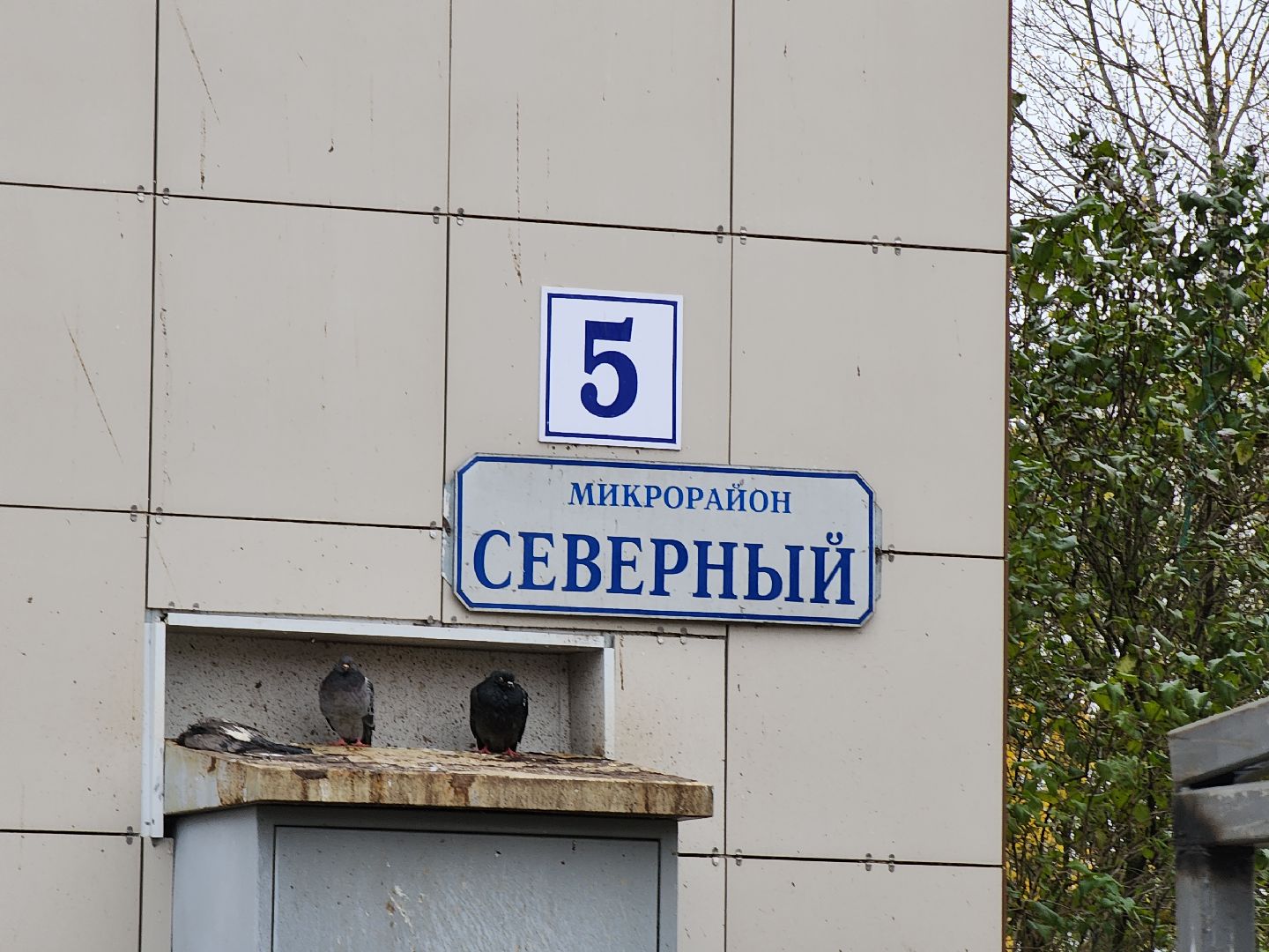 руза, модернизация контейнерных площадок, контейнерная площадка, рузский городской округ, экология, раздельный сбор мусора, московская область,