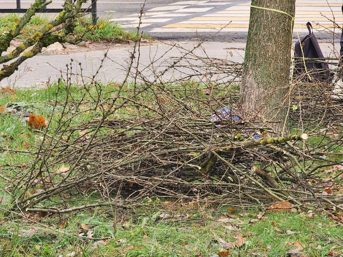 Дубна, МБУ ЖКУ, Благоустройство, жкх,
