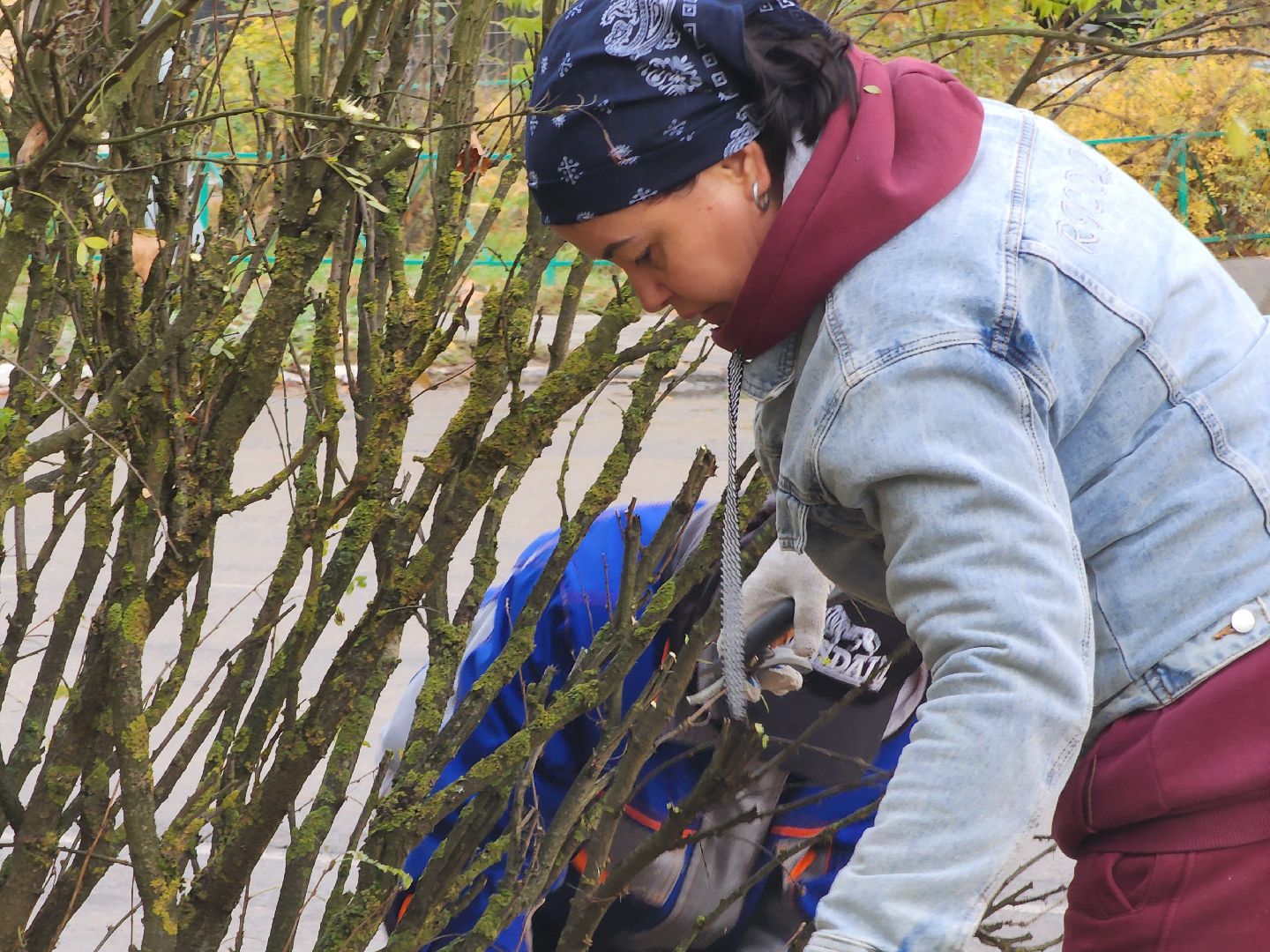 Дубна, МБУ ЖКУ, Благоустройство, жкх,