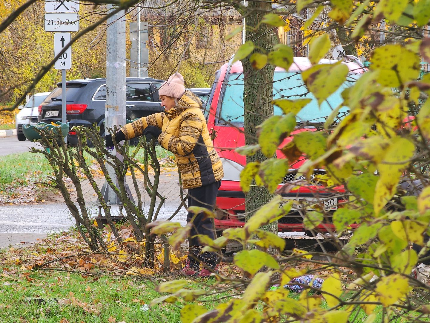 Дубна, МБУ ЖКУ, Благоустройство, жкх,