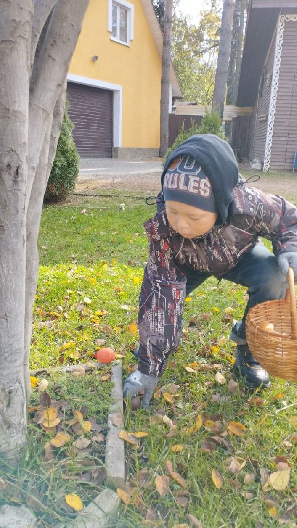 пушкино, ферма, творческие проекты, дети с овз, дети и родители, экскурсия, мастер класс, ивантеевка,