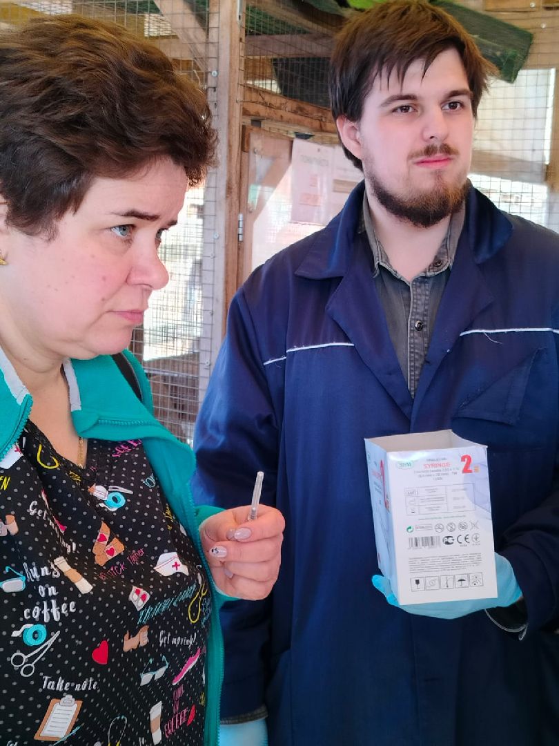 Здравоохранение, животные, вакцинация, ветеринария