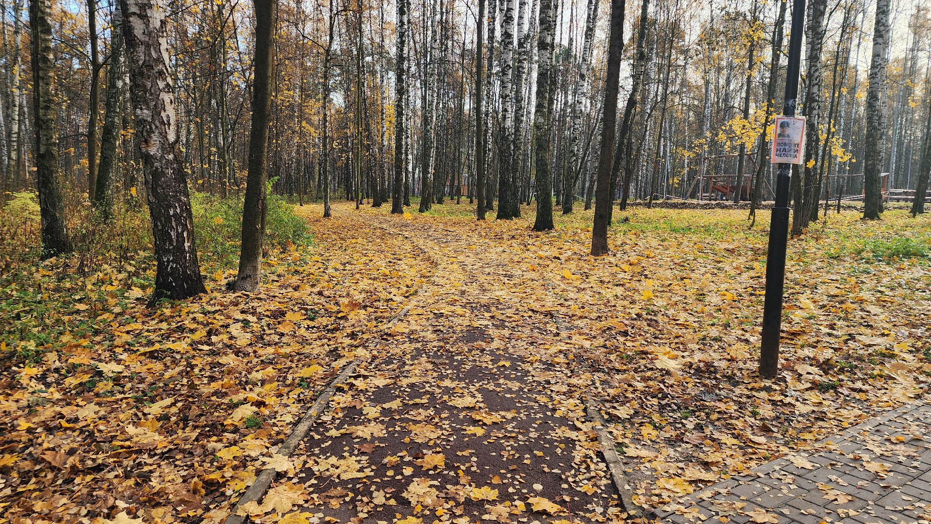 зимний сезон, парки Богородского округа, подготовка к зимнему сезону, Ногинск, Богородский городской округ,