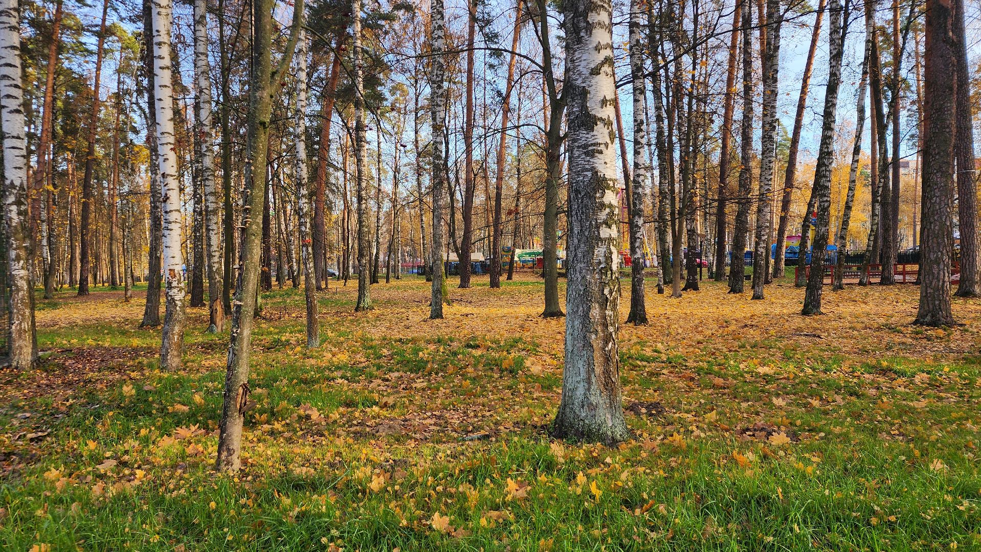 зимний сезон, парки Богородского округа, подготовка к зимнему сезону, Ногинск, Богородский городской округ,