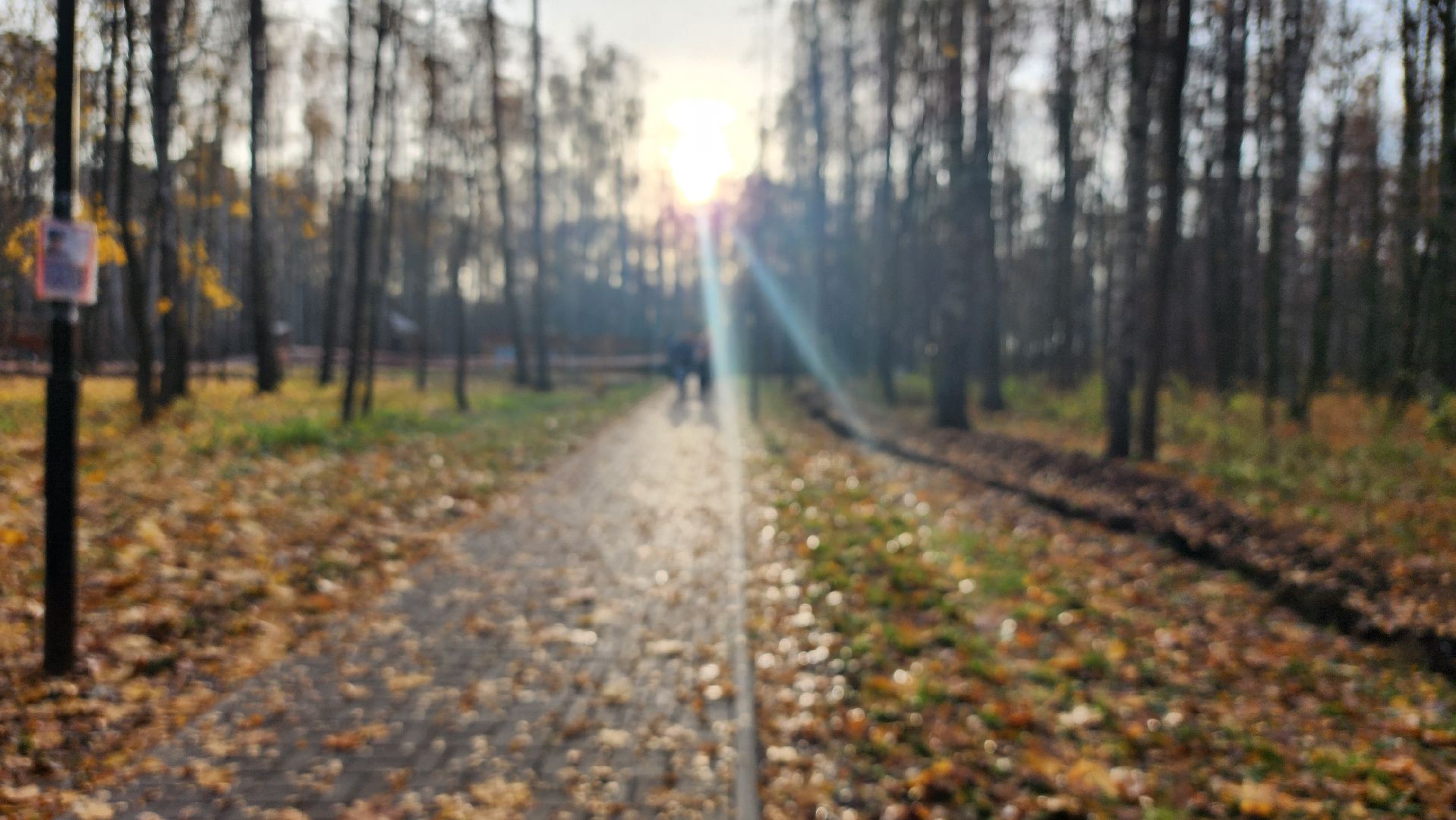 зимний сезон, парки Богородского округа, подготовка к зимнему сезону, Ногинск, Богородский городской округ,