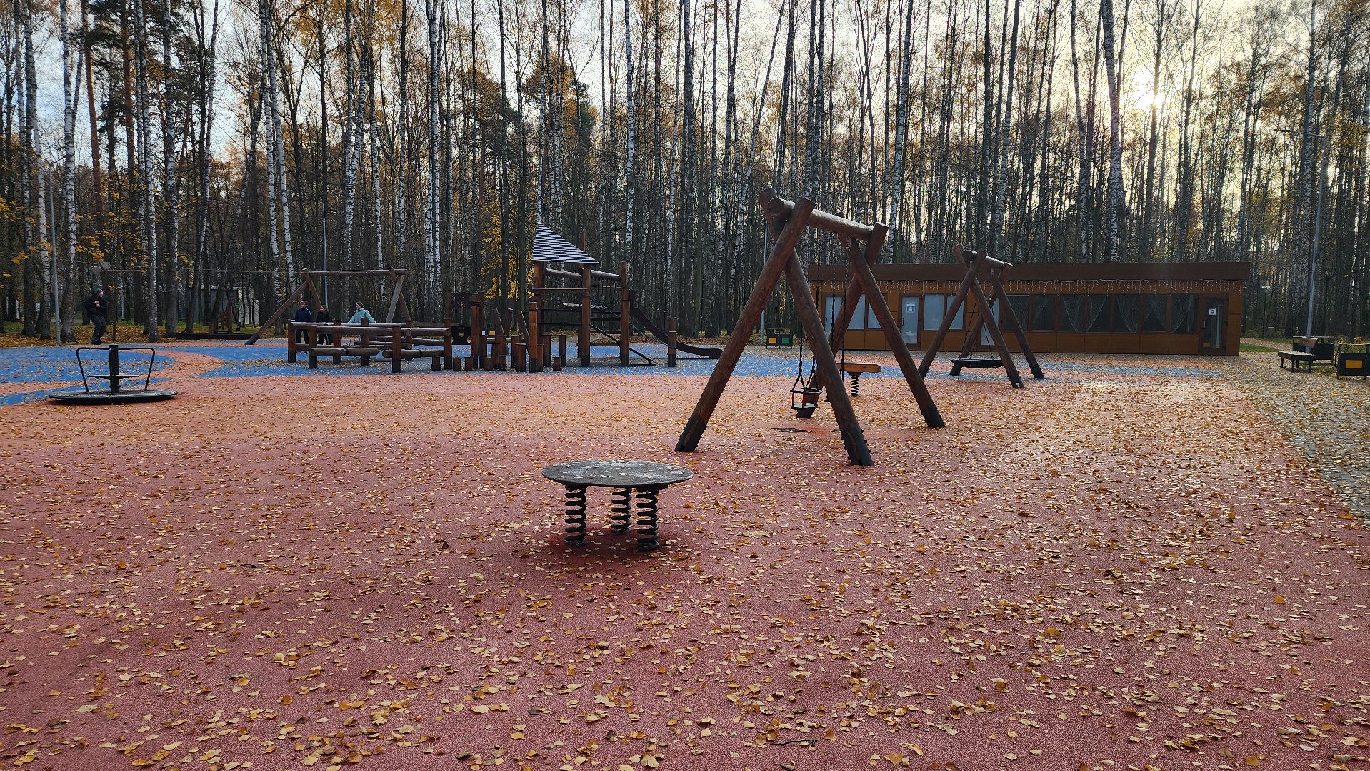 зимний сезон, парки Богородского округа, подготовка к зимнему сезону, Ногинск, Богородский городской округ,