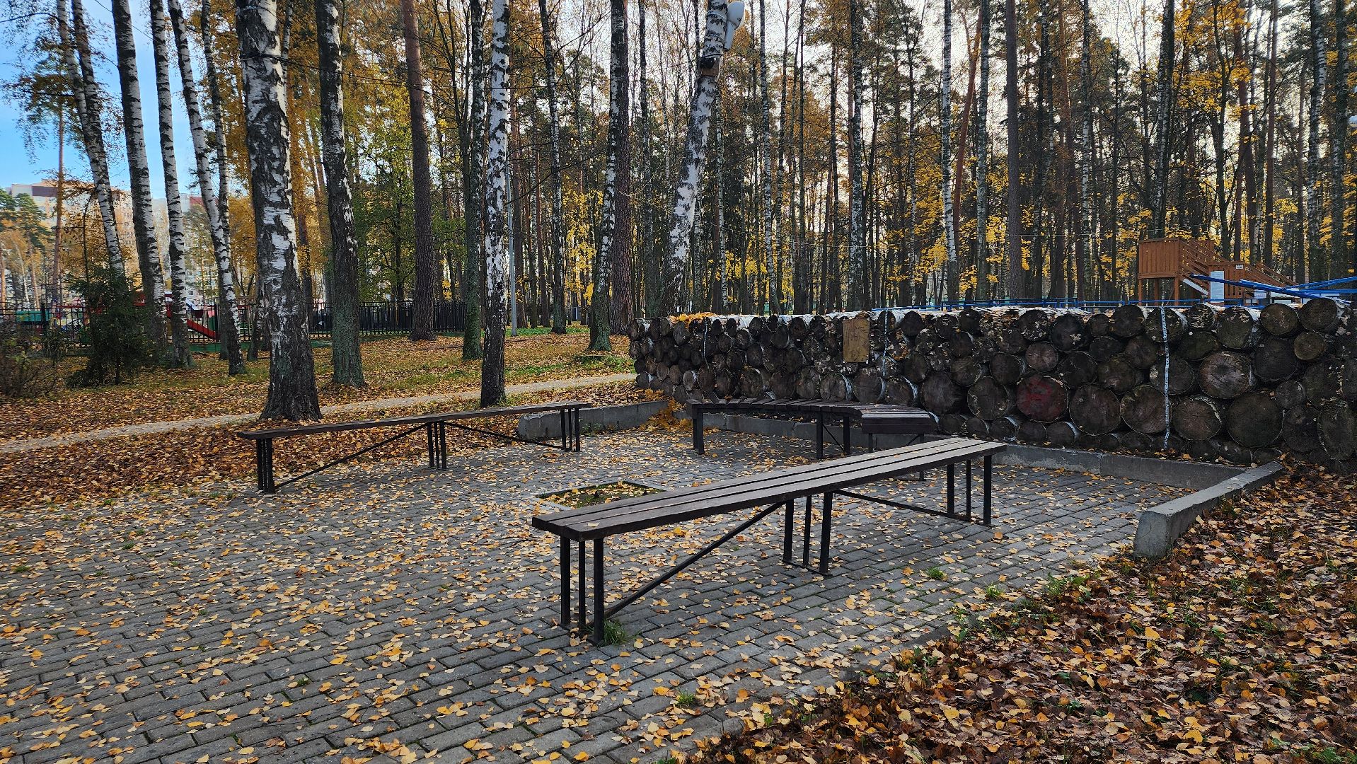 зимний сезон, парки Богородского округа, подготовка к зимнему сезону, Ногинск, Богородский городской округ,
