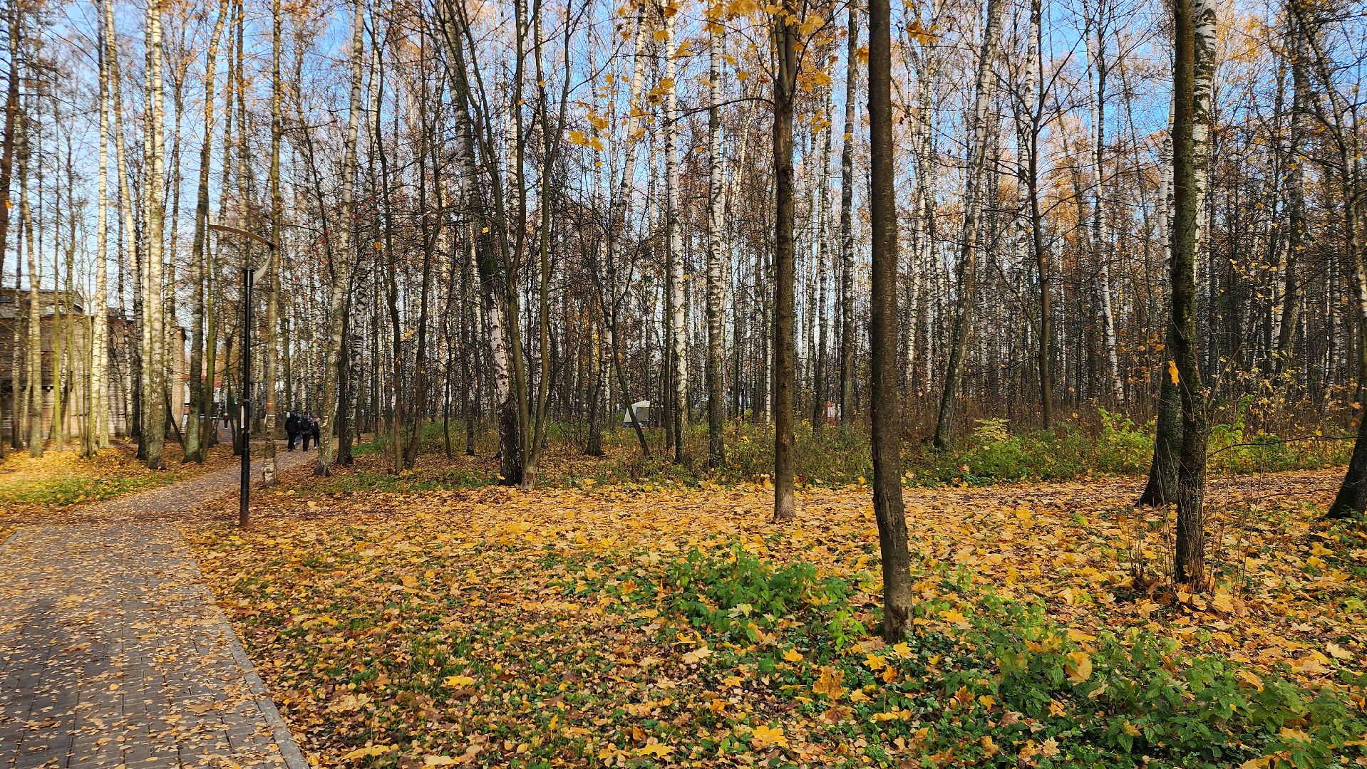 зимний сезон, парки Богородского округа, подготовка к зимнему сезону, Ногинск, Богородский городской округ,