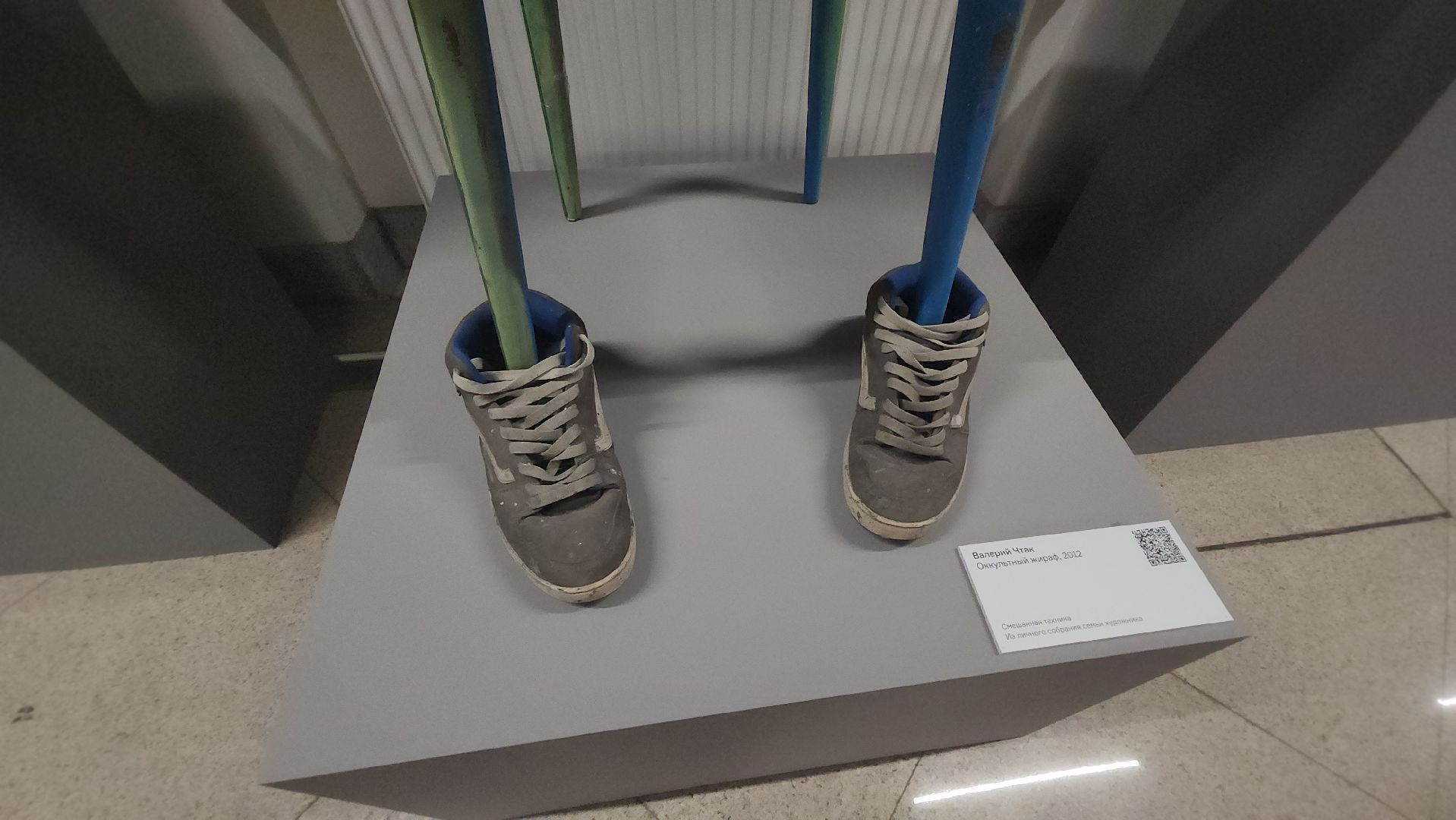 долгопрудный, мфти, валерий чтак, Лаборатория культуры МФТИ, выставка, череп,