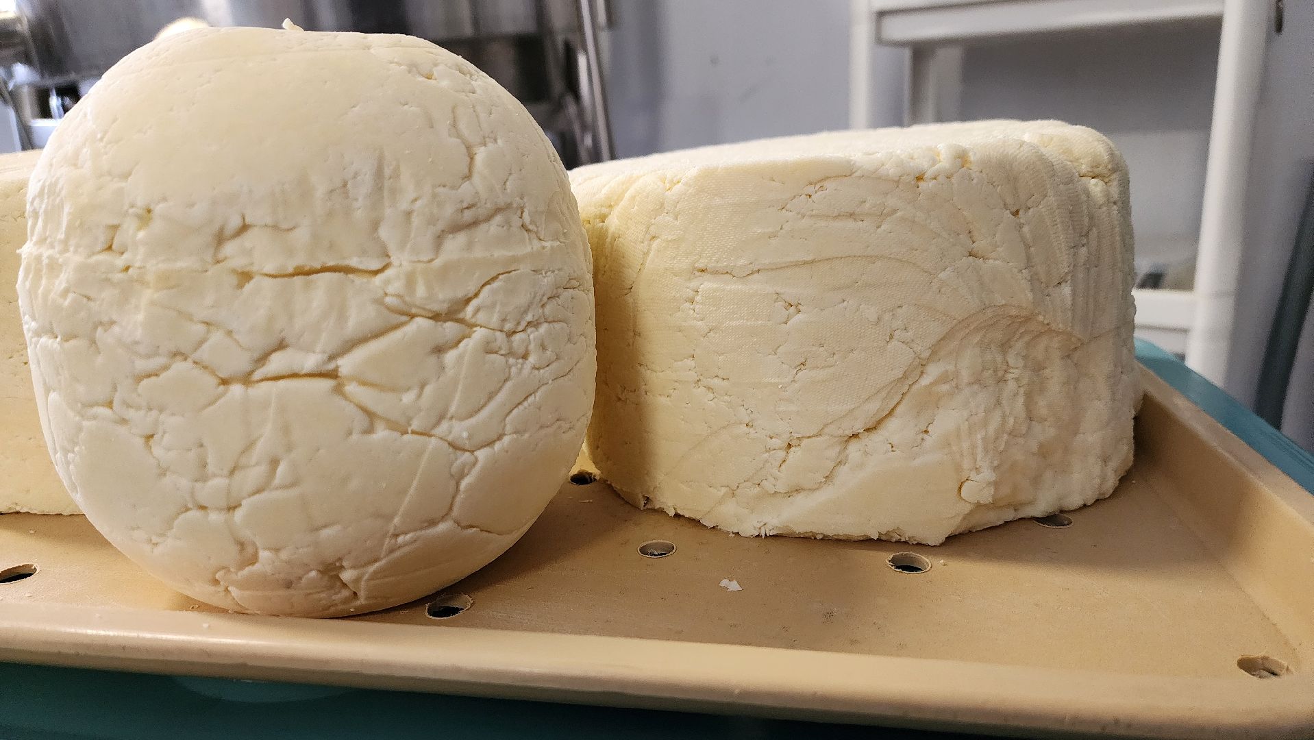 солнечногорск, экономика, фермерство, предприниматели, сыроварня,