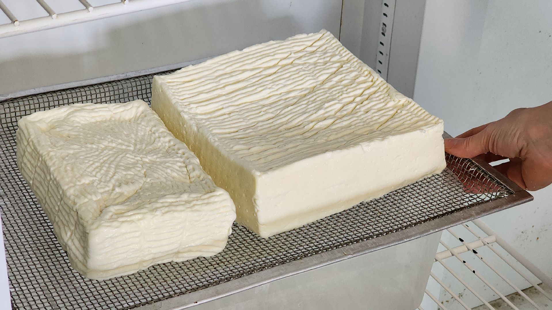 солнечногорск, экономика, фермерство, предприниматели, сыроварня,