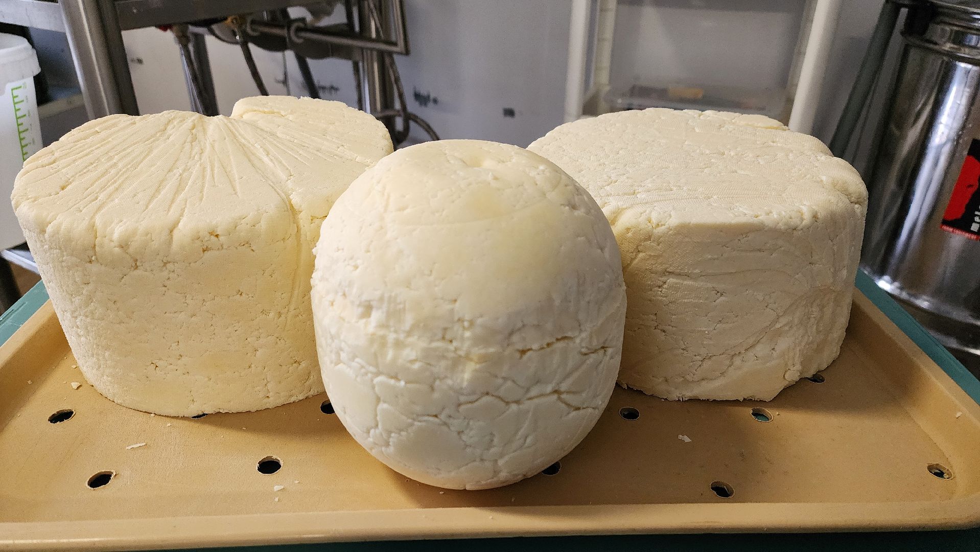 солнечногорск, экономика, фермерство, предприниматели, сыроварня,