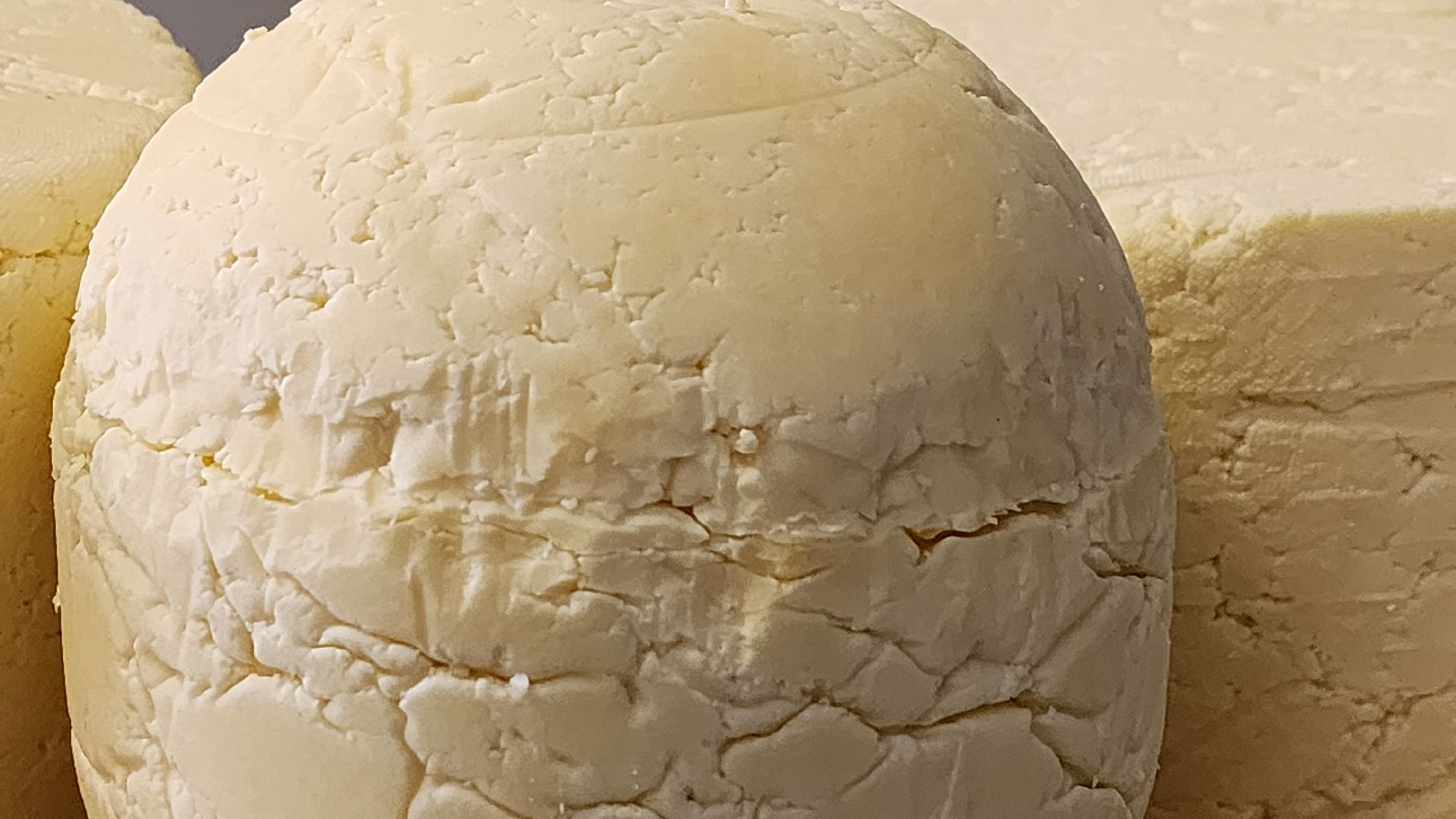 солнечногорск, экономика, фермерство, предприниматели, сыроварня,