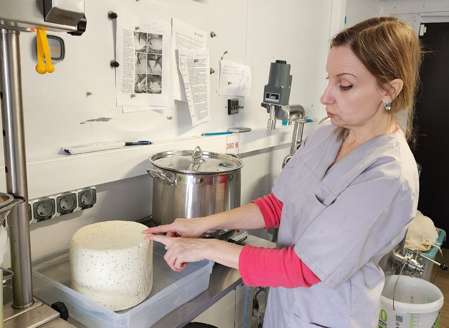 солнечногорск, экономика, фермерство, предприниматели, сыроварня,