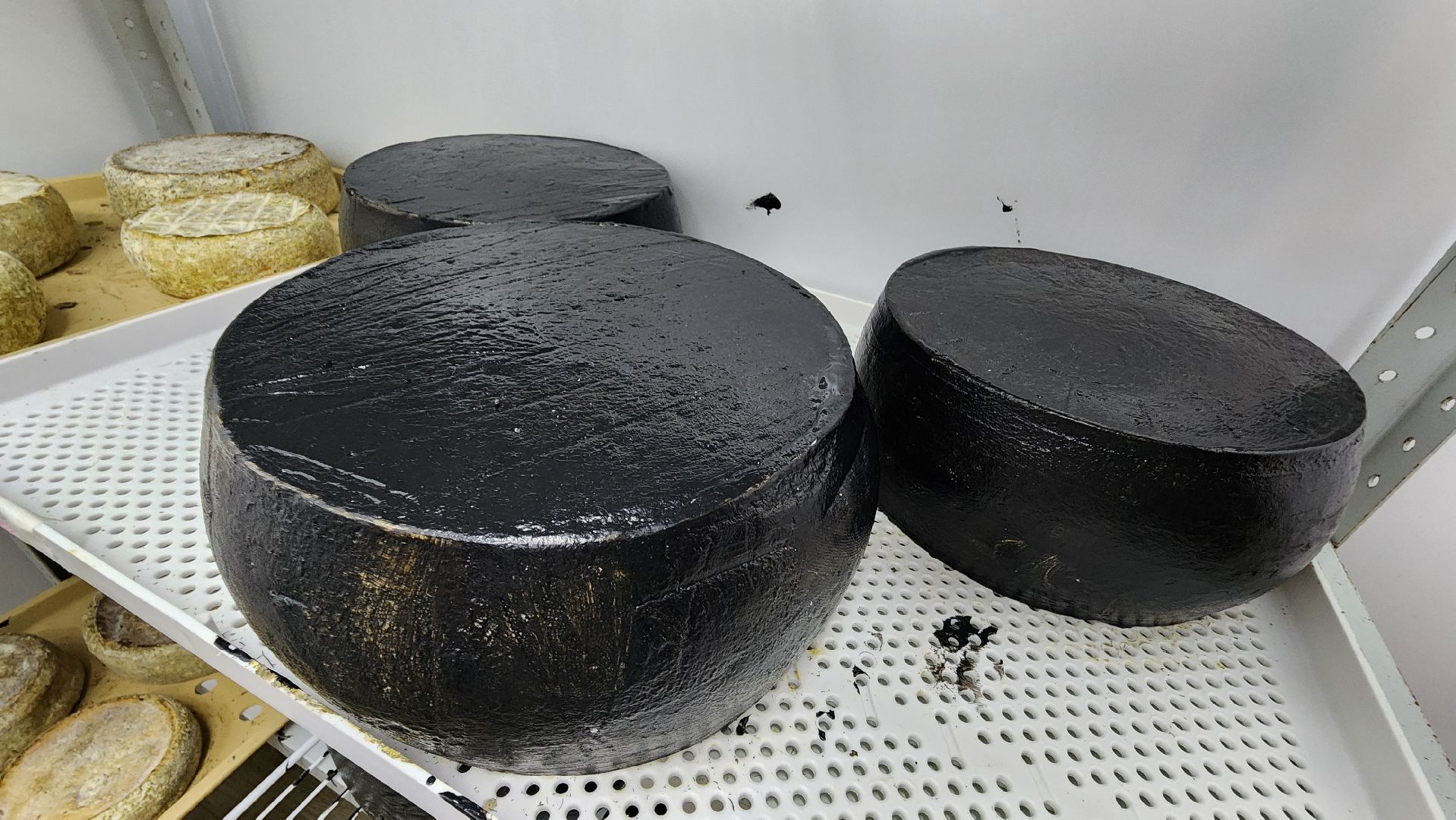 солнечногорск, экономика, фермерство, предприниматели, сыроварня,