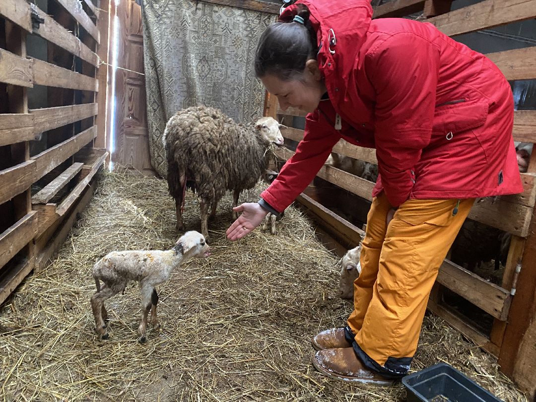 Экономика, сельское хозяйство, ферма, производство