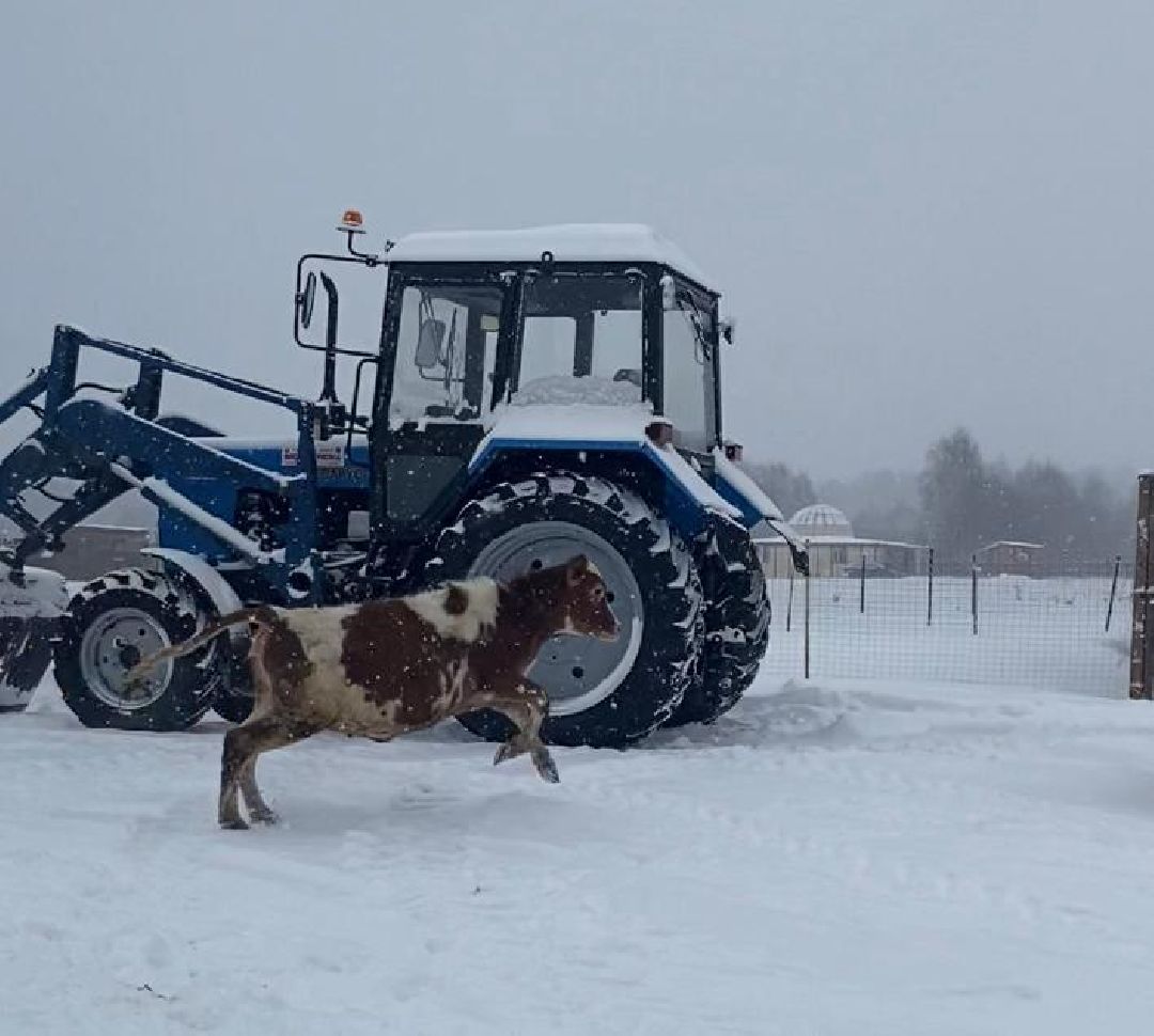 Экономика, сельское хозяйство, ферма, производство