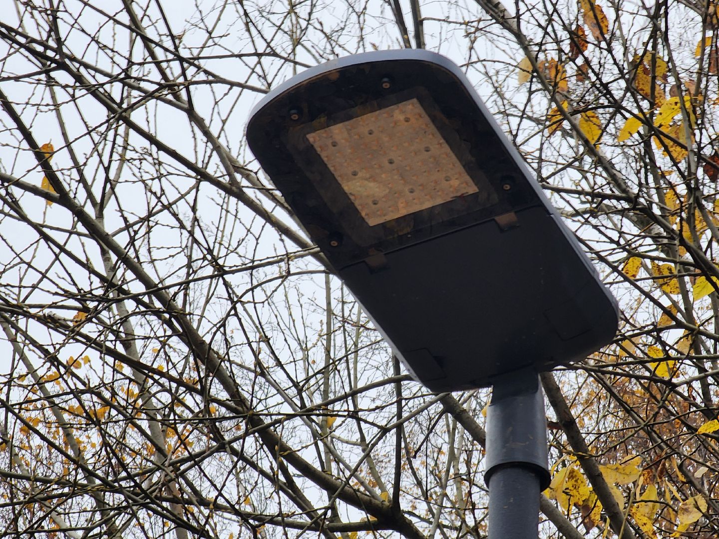 Одинцово, велодорожка, связь трех парков, освещение,