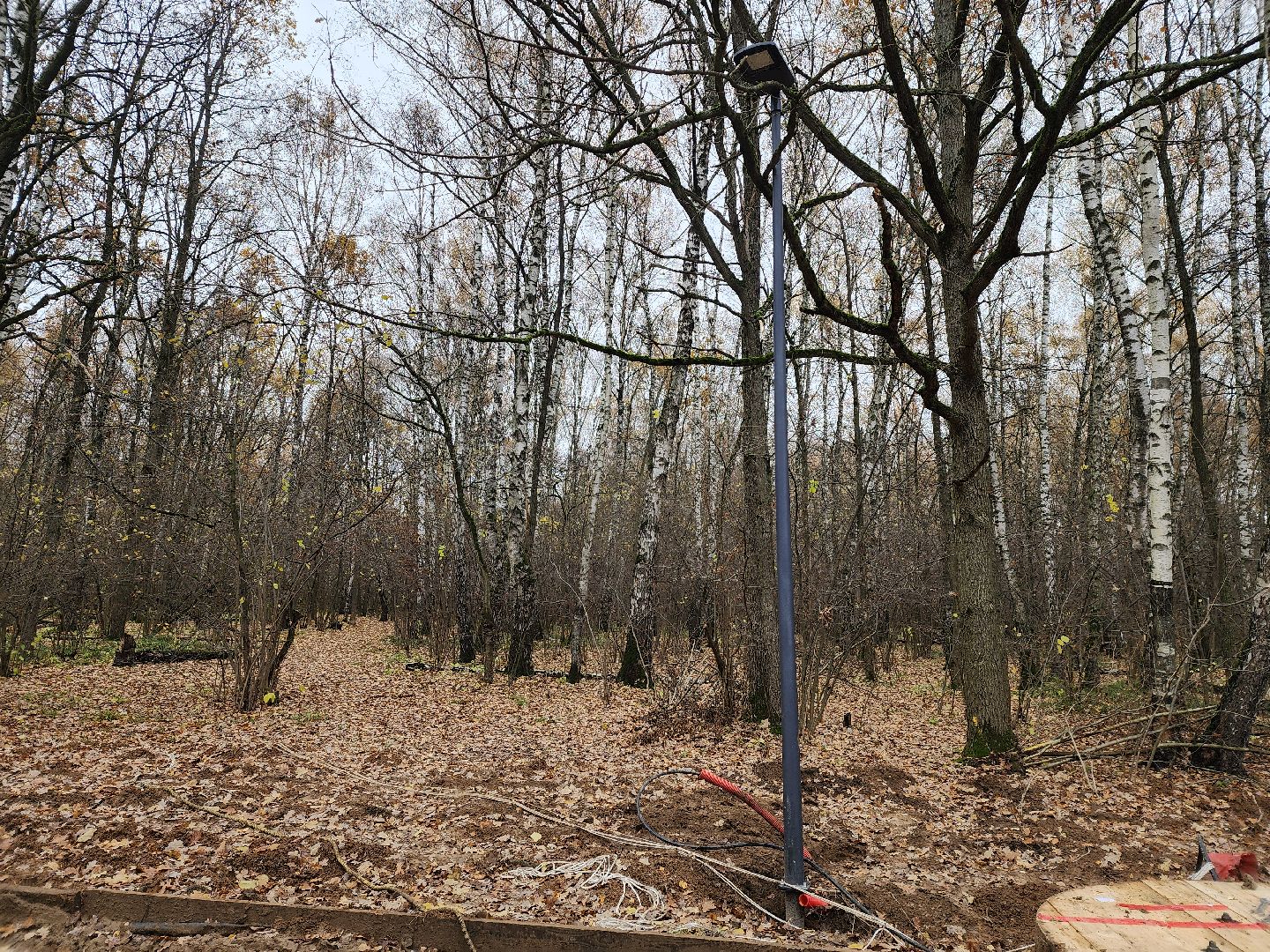 Одинцово, велодорожка, связь трех парков, освещение,