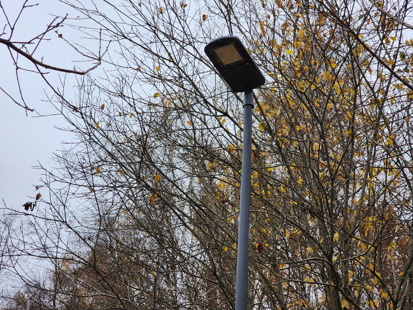 Одинцово, велодорожка, связь трех парков, освещение,