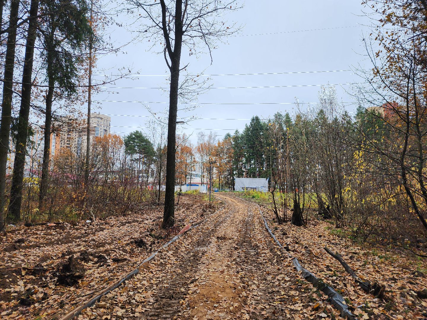 Одинцово, велодорожка, связь трех парков, освещение,