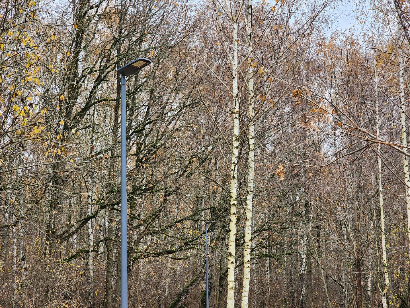 Одинцово, велодорожка, связь трех парков, освещение,