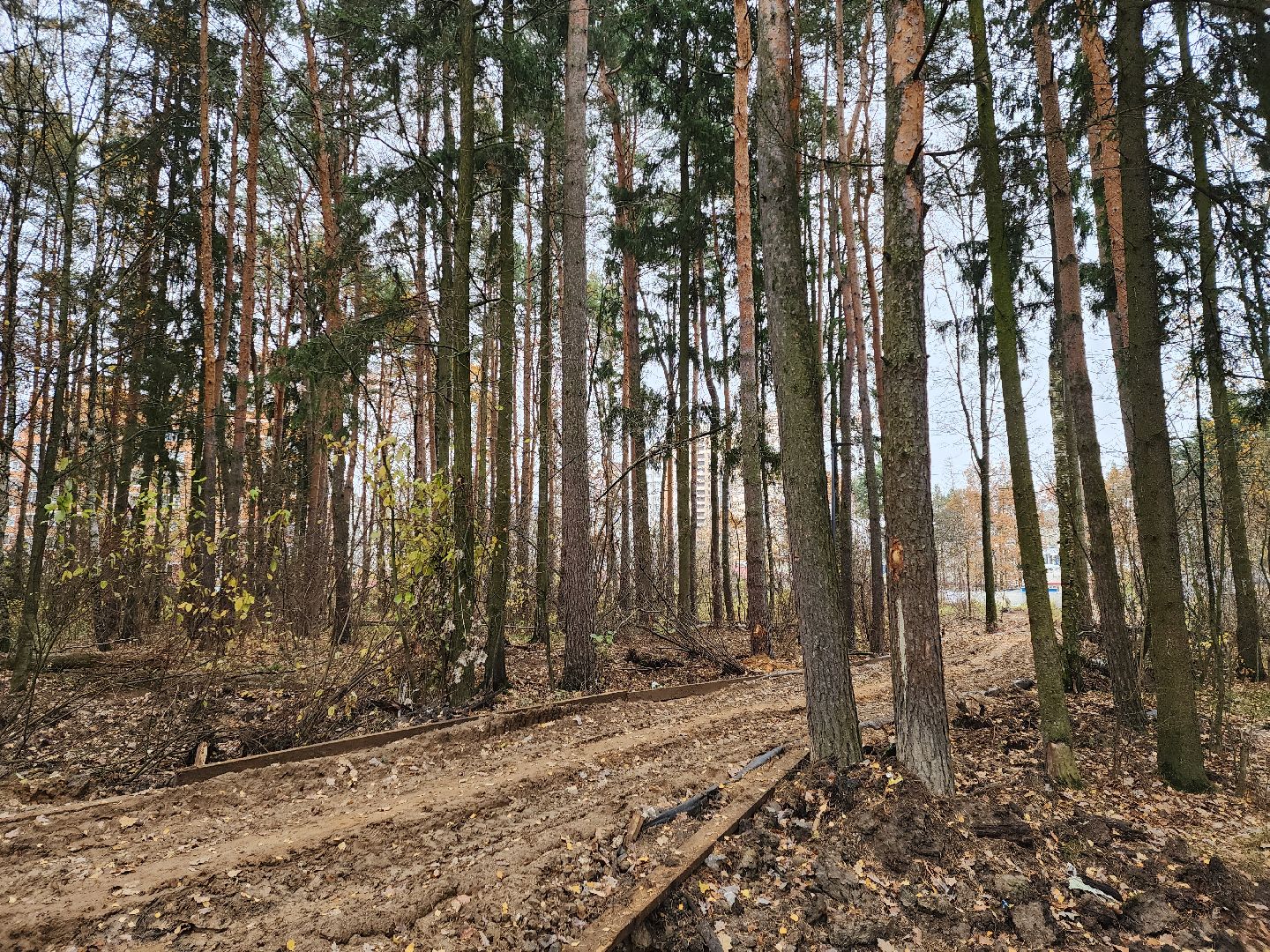 Одинцово, велодорожка, связь трех парков, освещение,