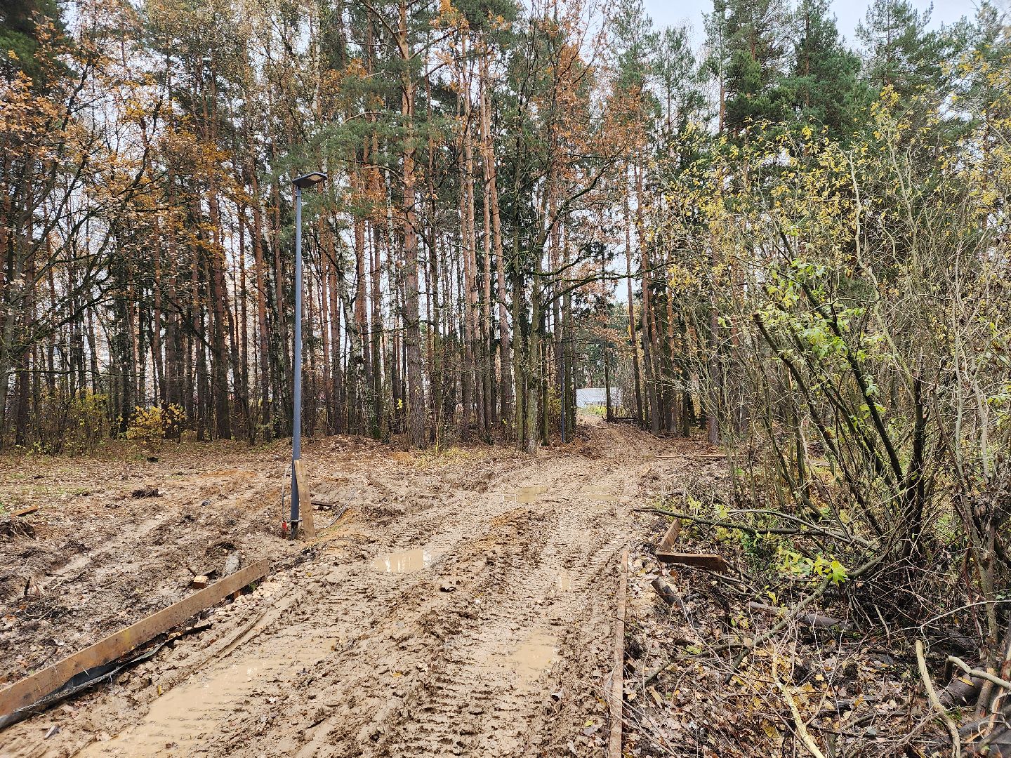 Одинцово, велодорожка, связь трех парков, освещение,