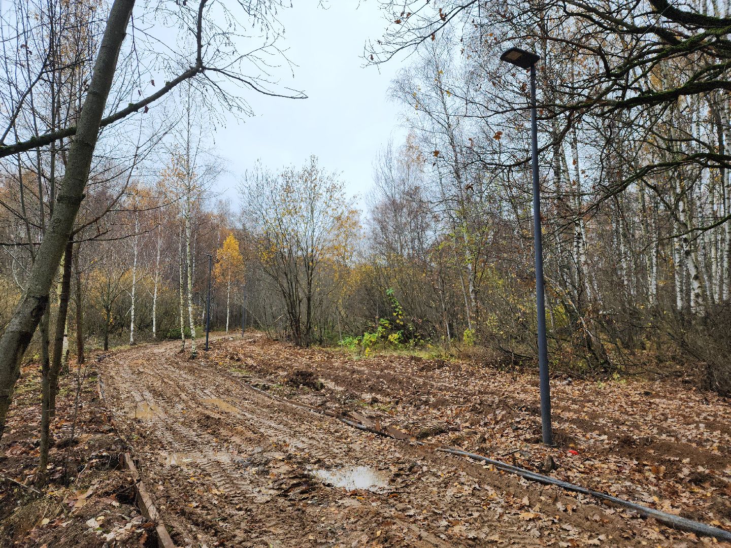 Одинцово, велодорожка, связь трех парков, освещение,