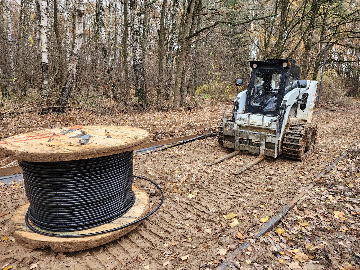 Одинцово, велодорожка, связь трех парков, освещение,