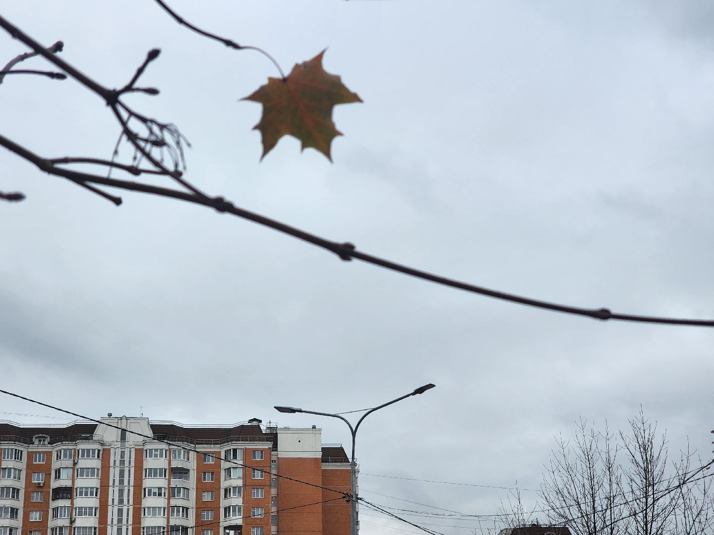 королёв, пешеходный переход, освещение дорог,