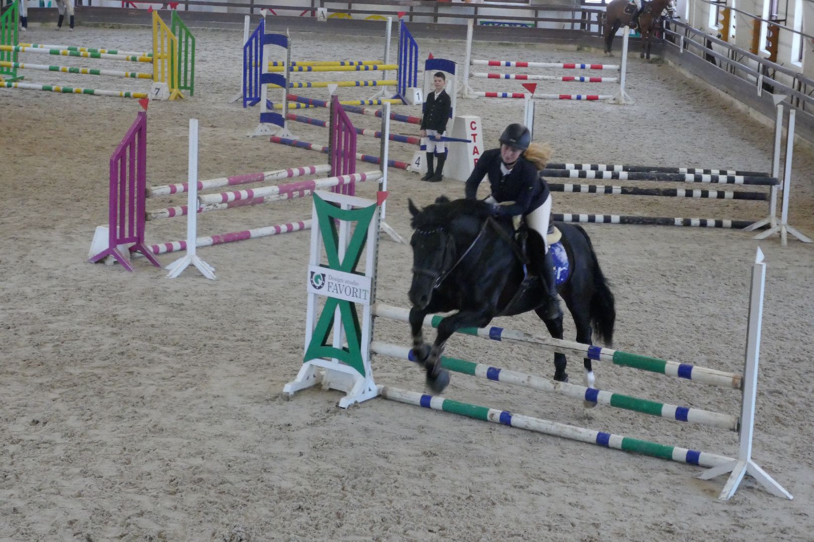 Подольск, День космонавтики, конный спорт, фаворит