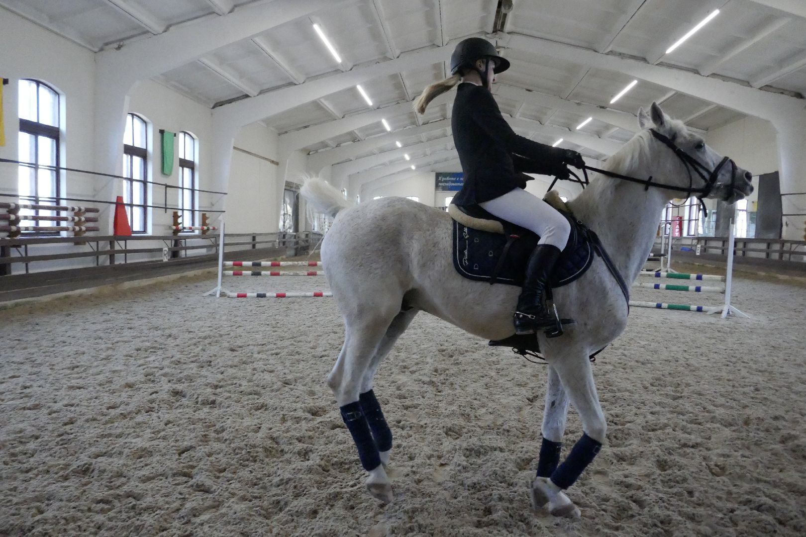 Подольск, День космонавтики, конный спорт, фаворит