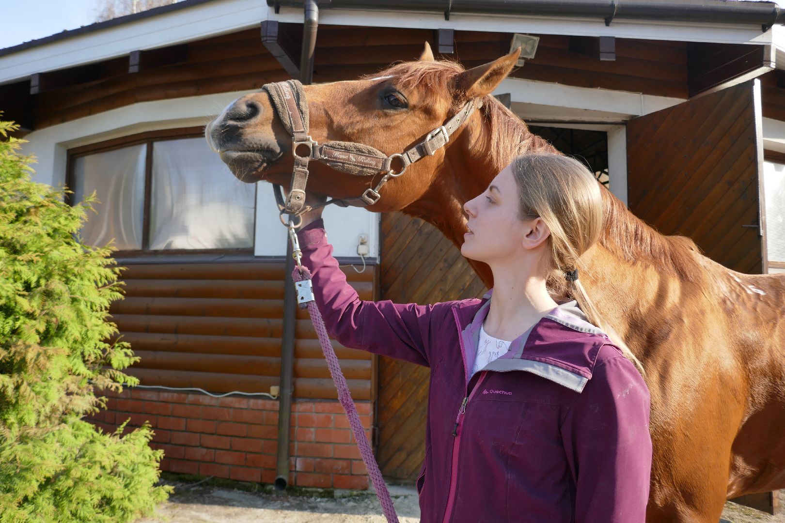 Подольск, День космонавтики, конный спорт, фаворит