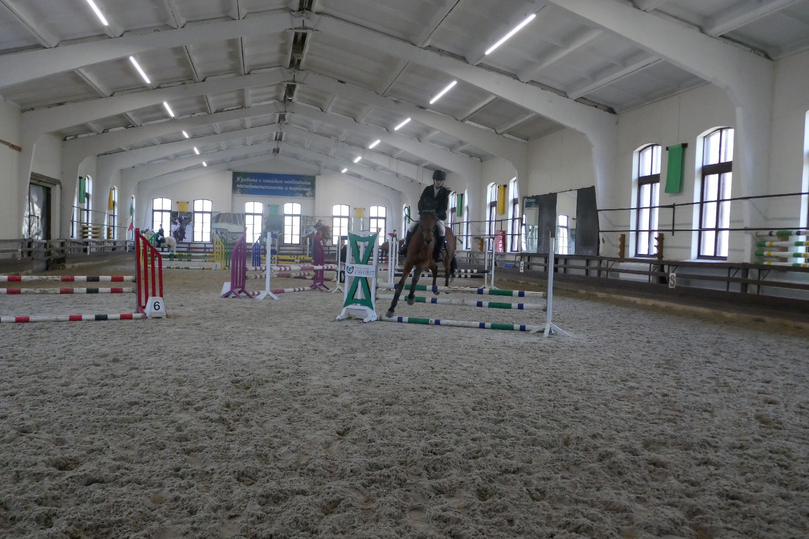 Подольск, День космонавтики, конный спорт, фаворит