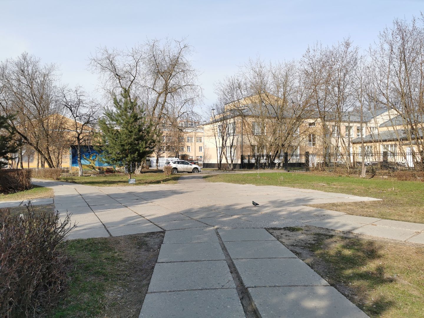 волонтеры, благоустройство