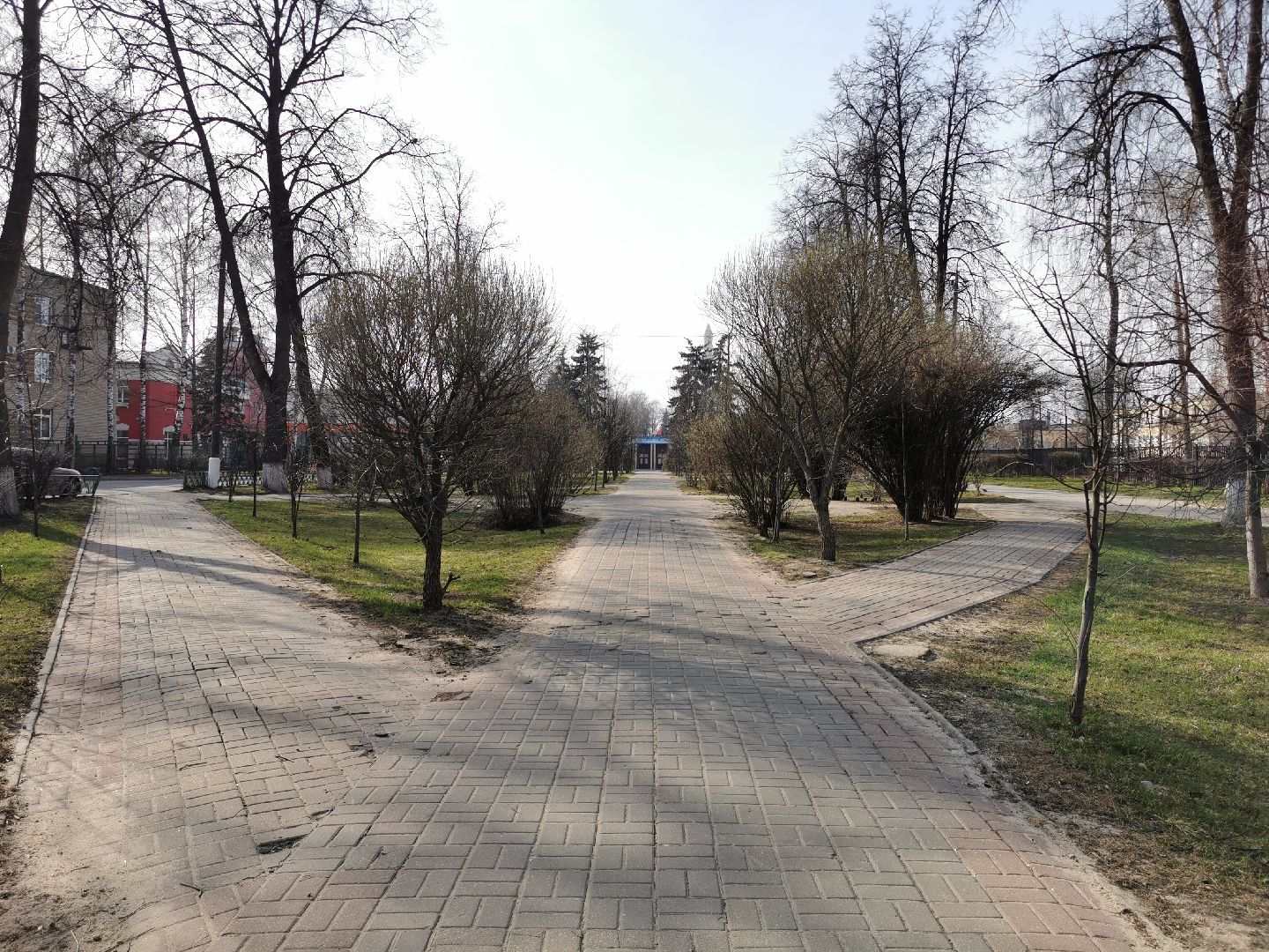 волонтеры, благоустройство