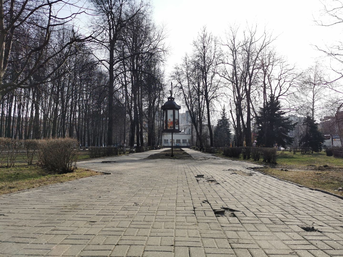 волонтеры, благоустройство