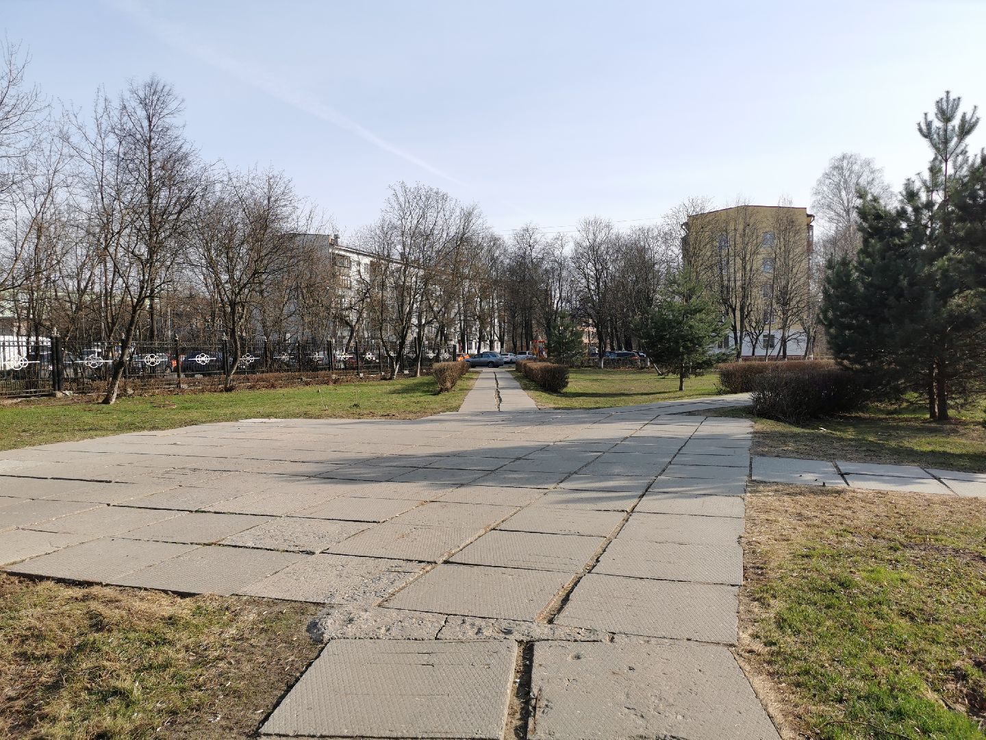 волонтеры, благоустройство