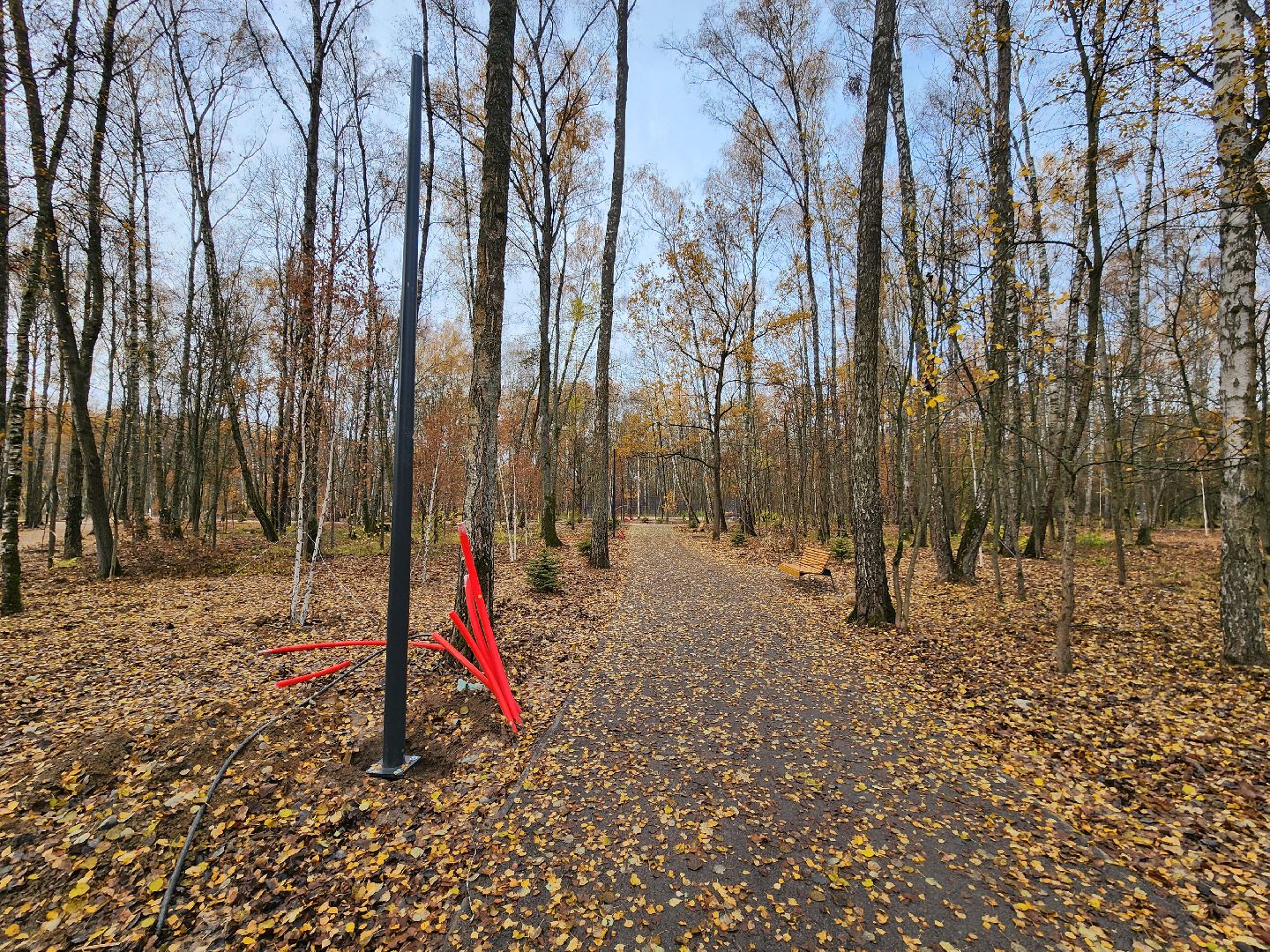 Чехов, микрорайон Губернский, лесопарк, лесопарковая зона отдыха, строительство, благоустройство, пешеходные дорожки, тропинки, велосипедные дорожки,