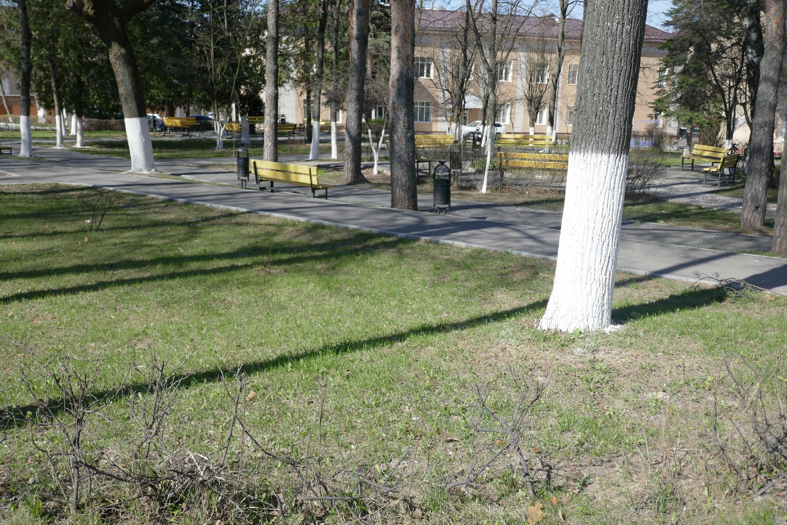 Подольск, благоустройство, ПОКБ, субботник