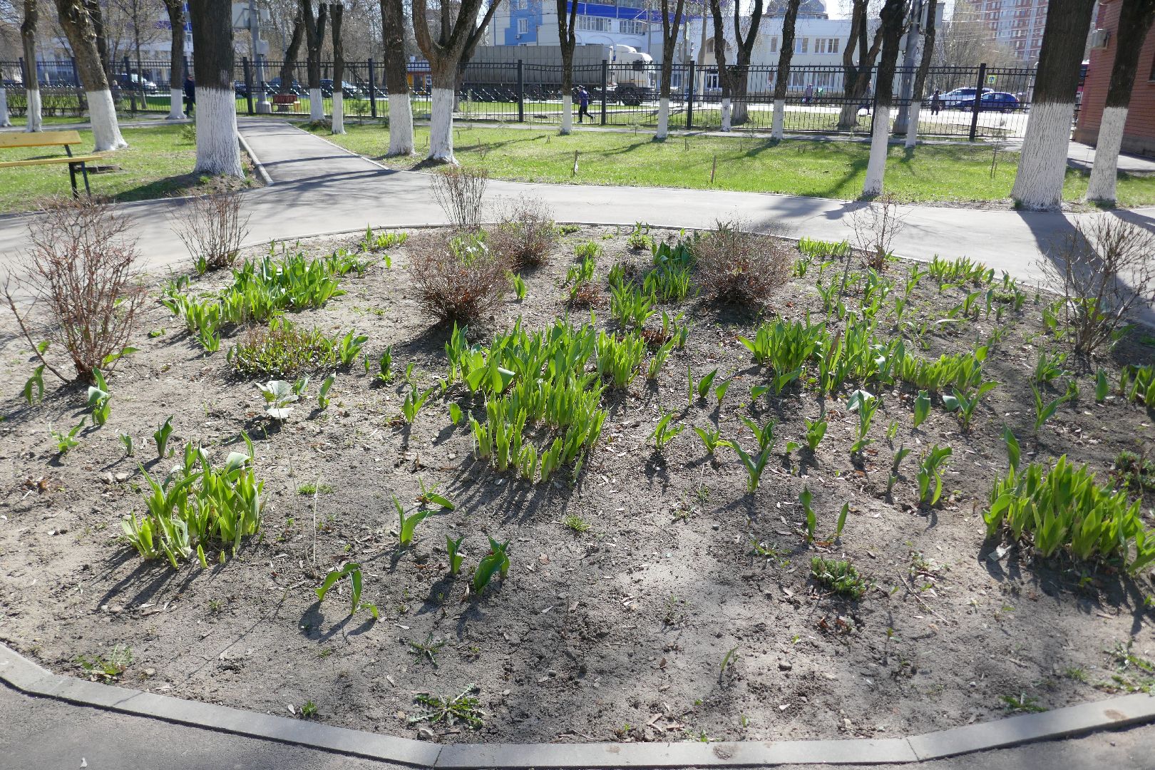 Подольск, благоустройство, ПОКБ, субботник