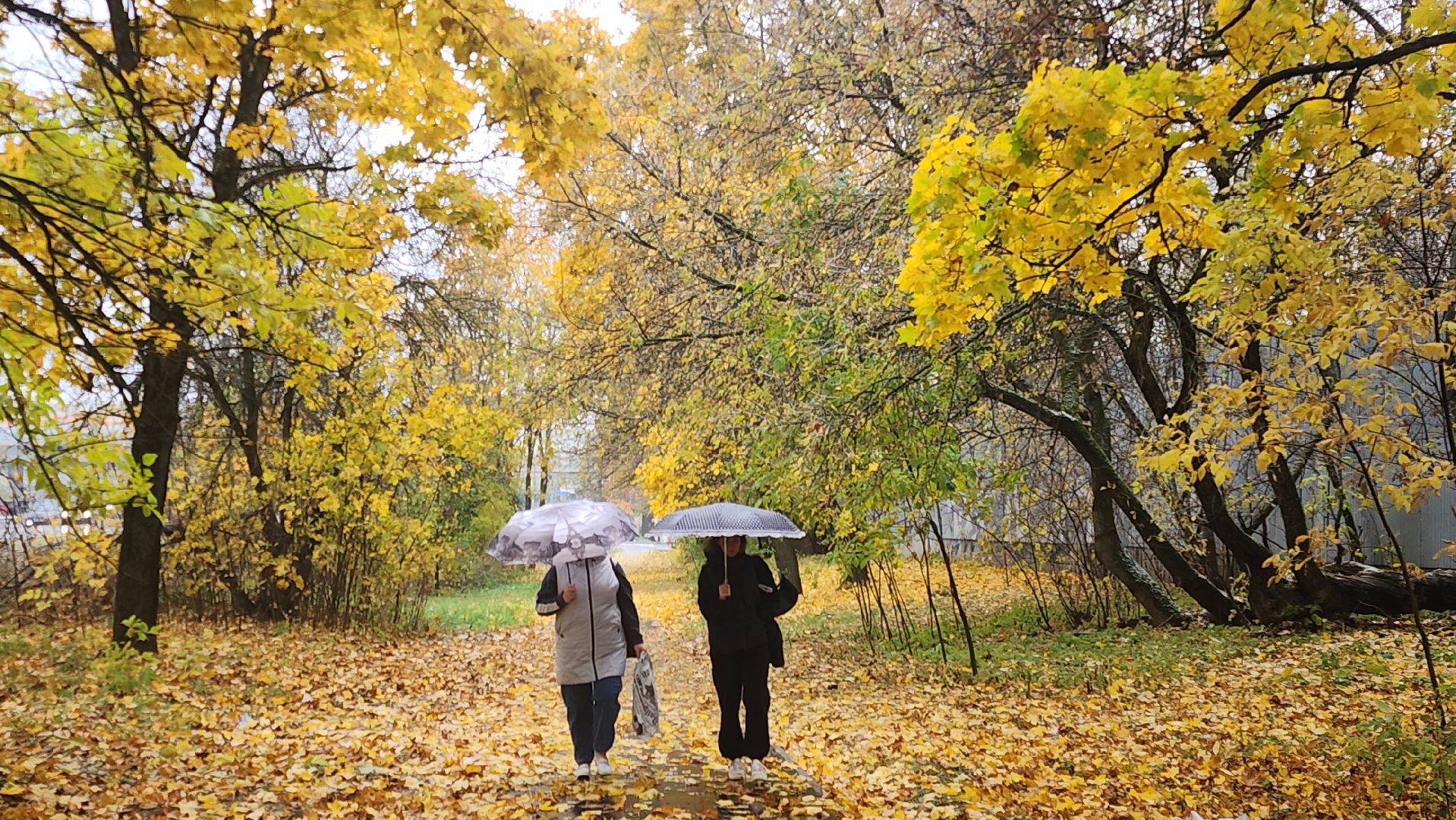 Звенигород, Супонево, благоустойство, парки подмосковья,