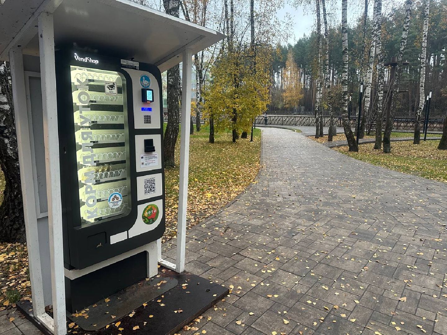 утки, корм для уток, парки,