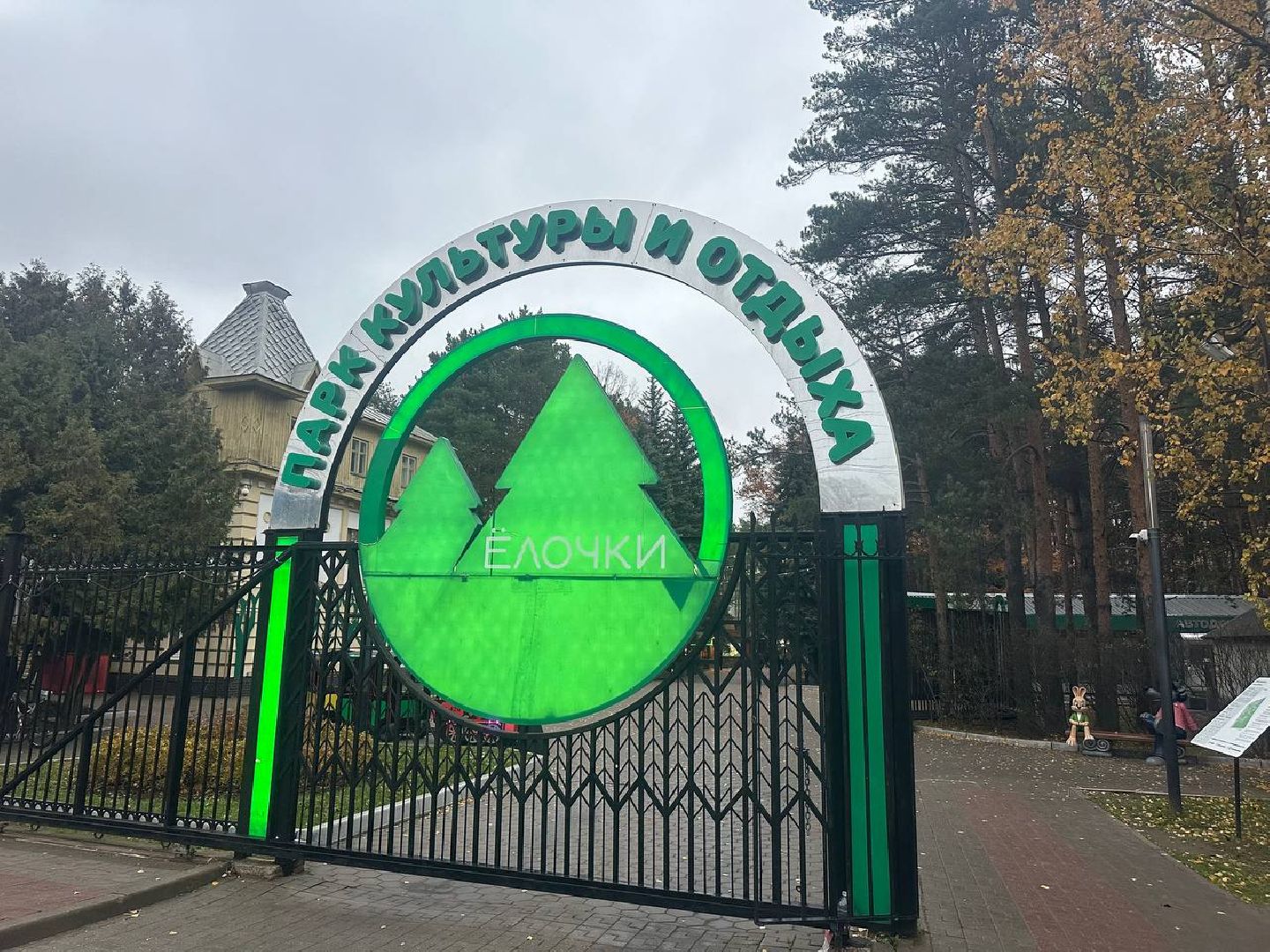 утки, корм для уток, парки,