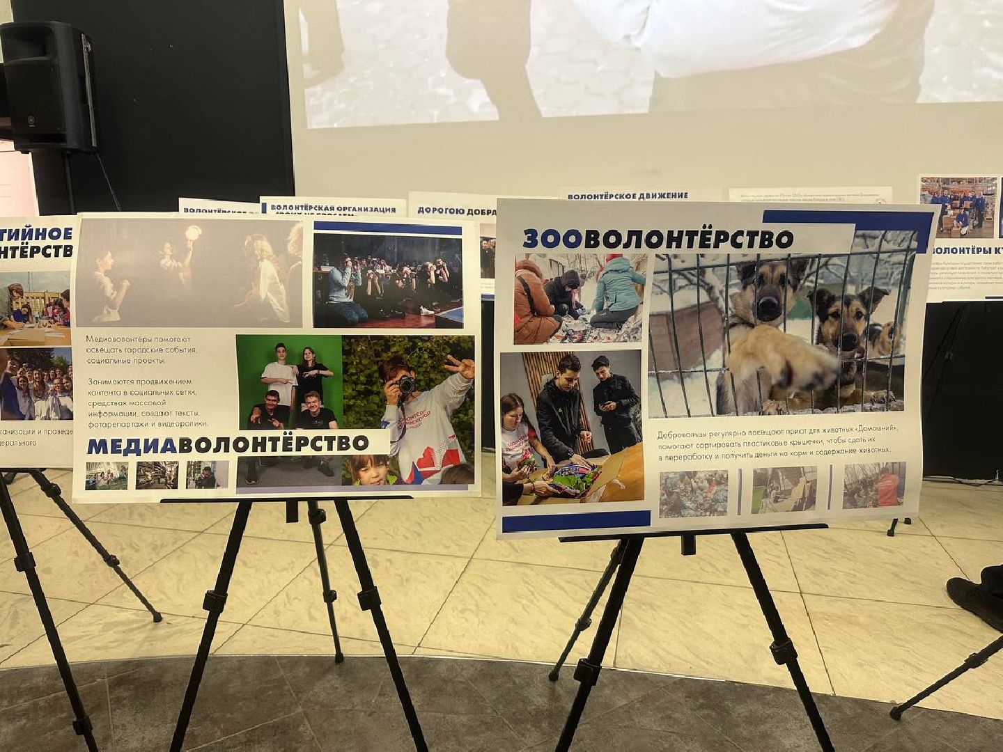 волонеры, волонтеры подмосковья,