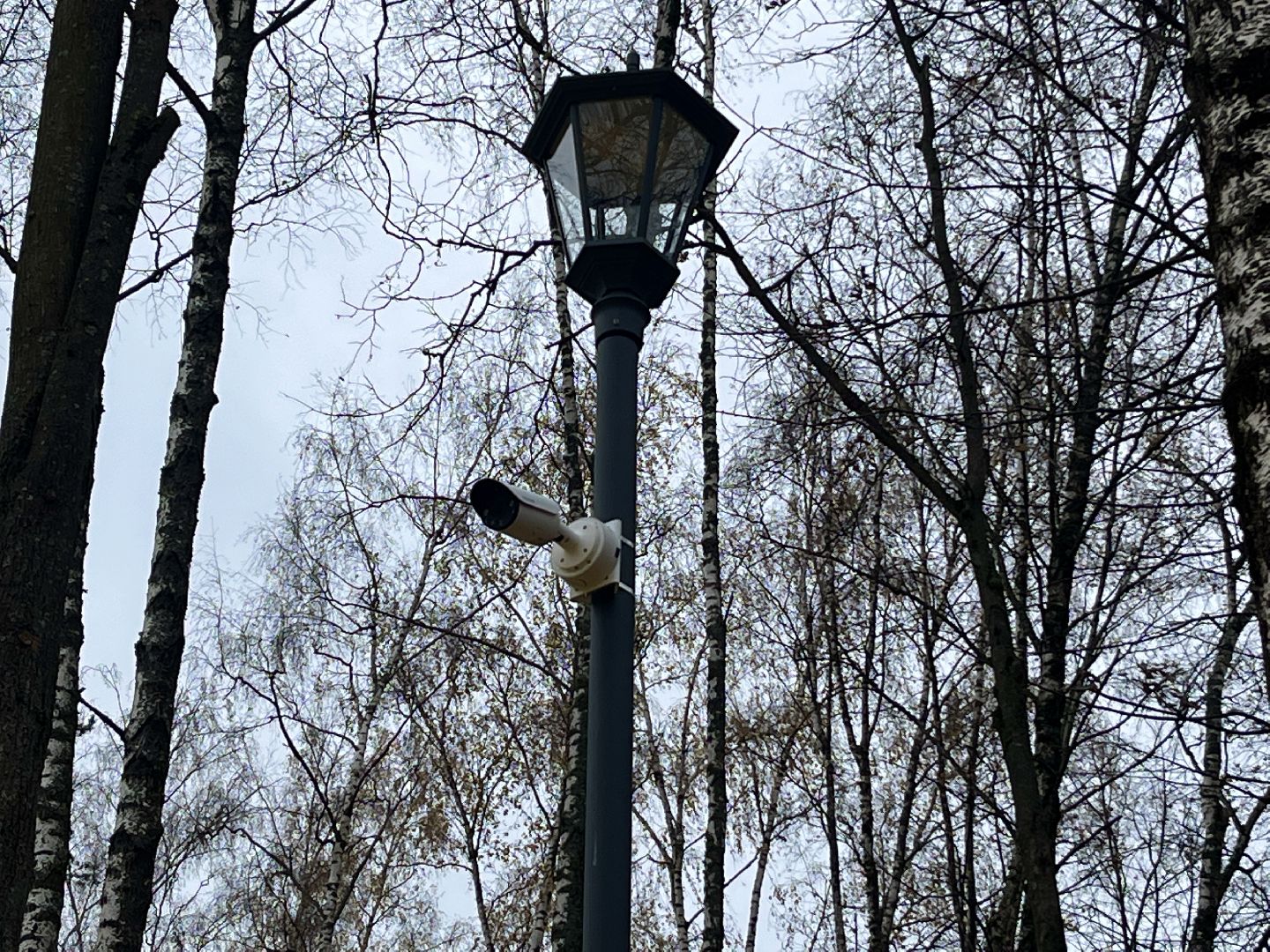 наро-фоминск, бобруйский сквер, благоустройство 2024, комфортная городская среда,