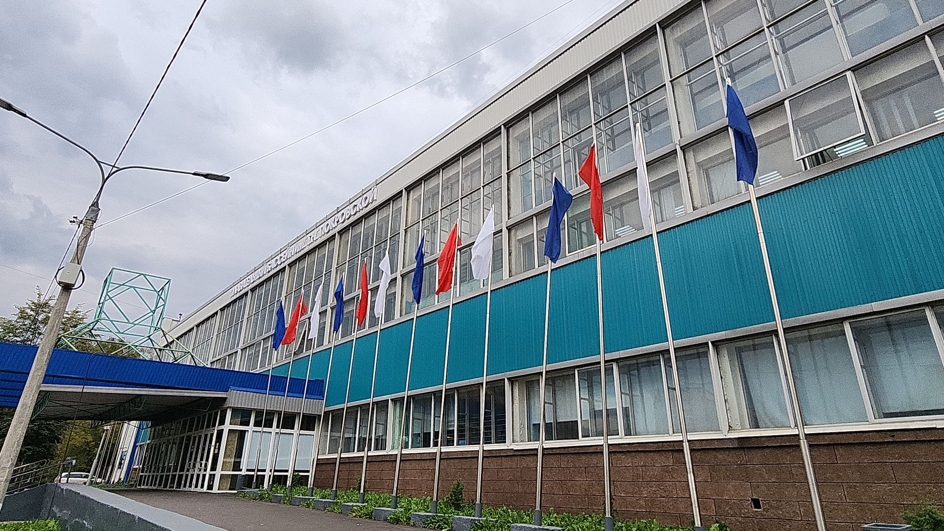 прыжки в воду, день тренера, тренер по прыжкам в воду, тренер-преподаватель, электросталь, электросталь спортивная, чемпионы, золотая медаль, спорт в подмосковье, спортивная молодежь,