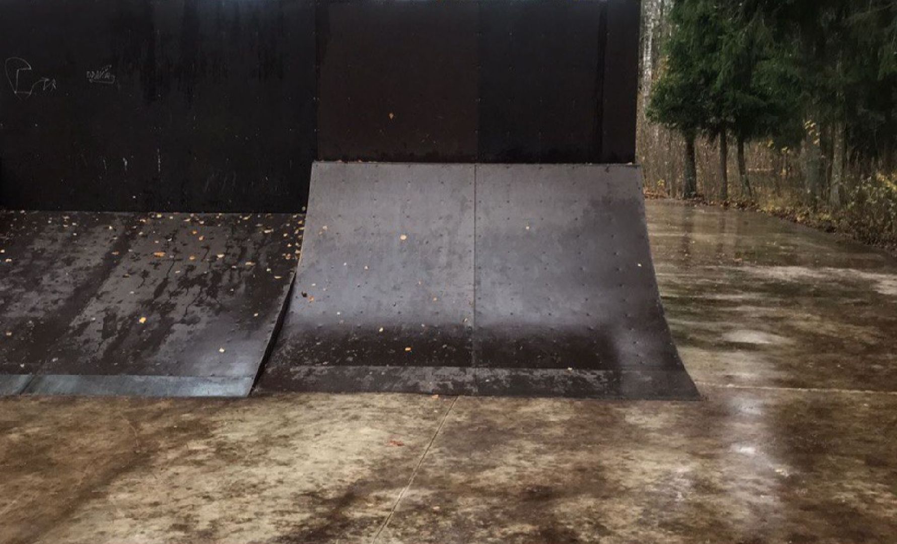 Черноголовка, план добрых дел, уборка листы,